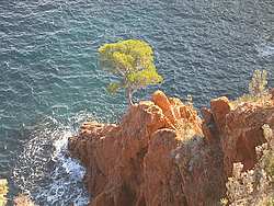 Le Trayas,agay,plage d'Agay et du Trayas,Agay,offre tourisme location à Agay,locations baie d agay vacances d été à Agay